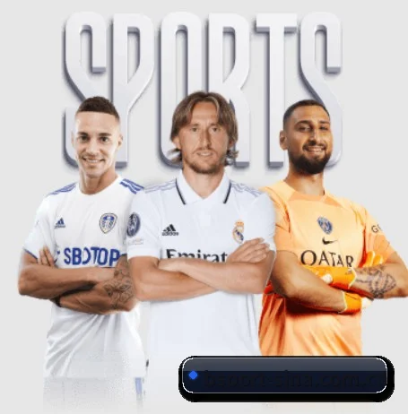 B体育 APP | BSPORTS